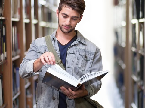 السنة الأولى في الاستدامة المالية